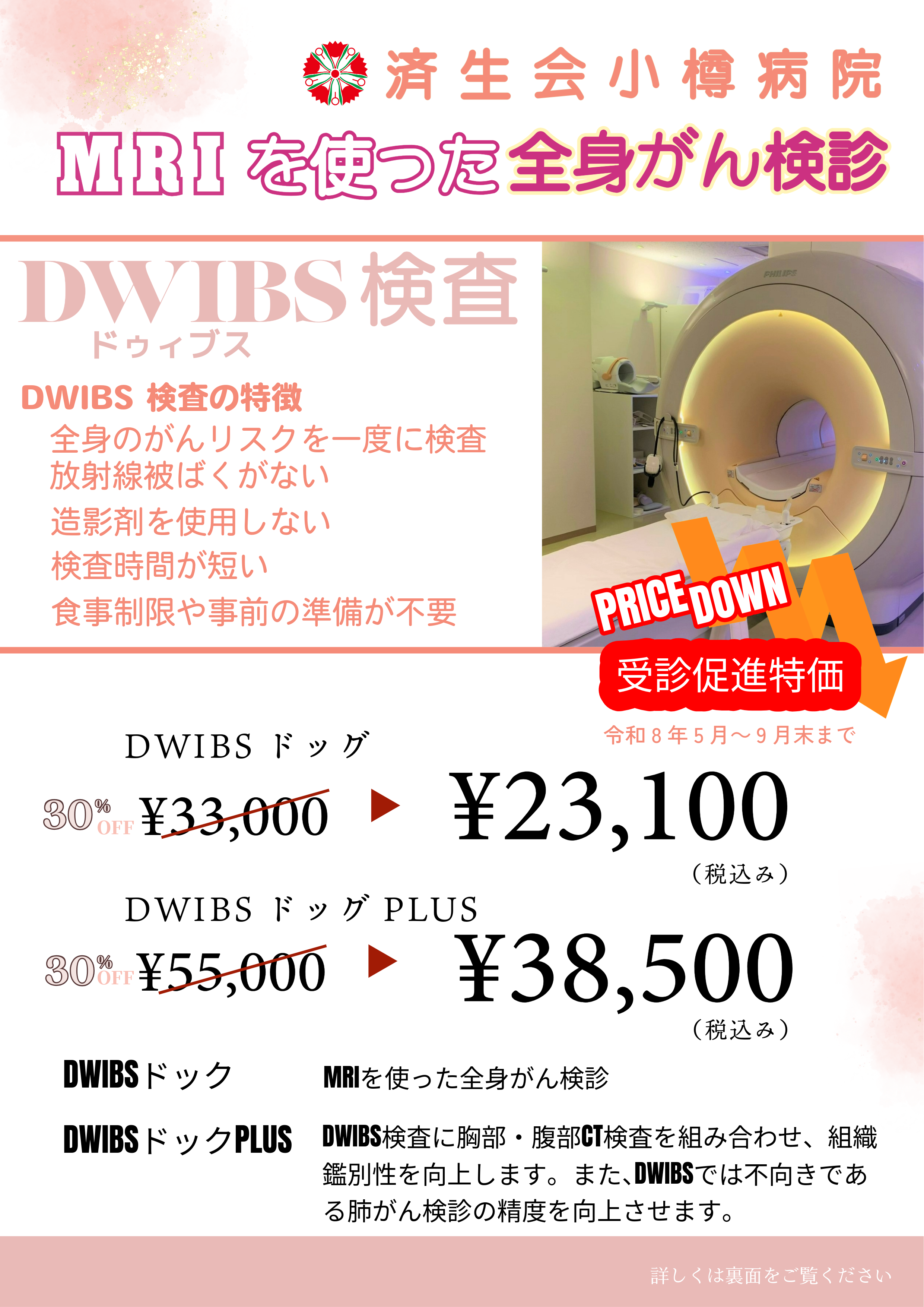 DWIBSドックキャンペーンのリーフレット
