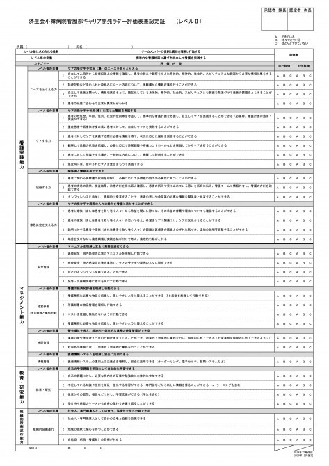 ラダーIIの表　リンク先のPDFで同じ内容をご説明しています