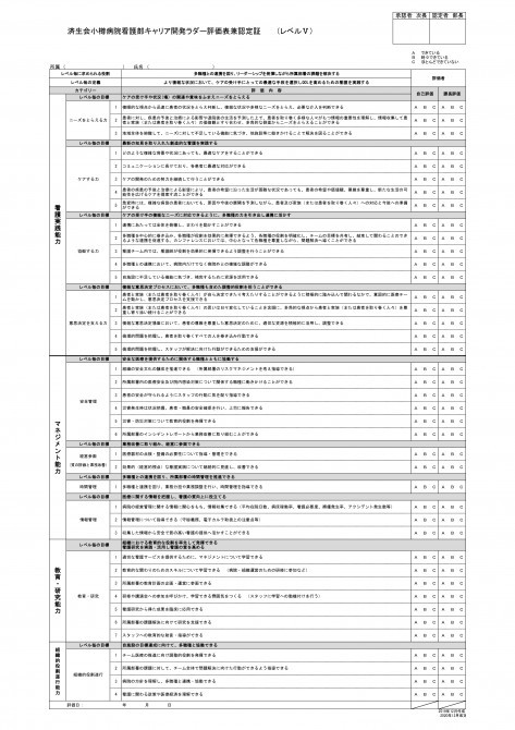 ラダーVの表　リンク先のPDFで同じ内容をご説明しています