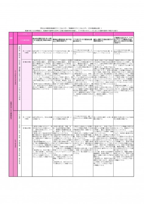 自施設のクリニカルラダーの表　リンク先のPDFで同じ内容をご説明しています